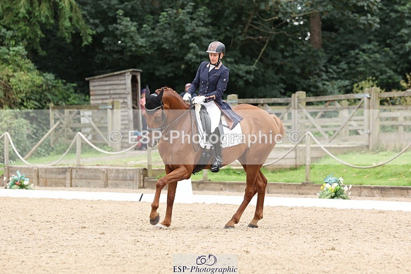 240810-161343-04349 - 219-Alice.Peternell-Insanity