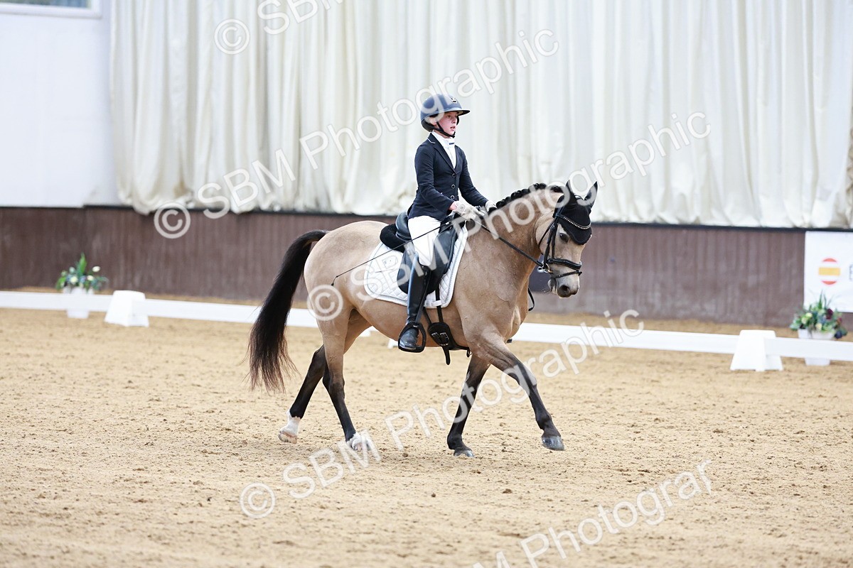 SBM_017235 - Class15 - FEI Pony