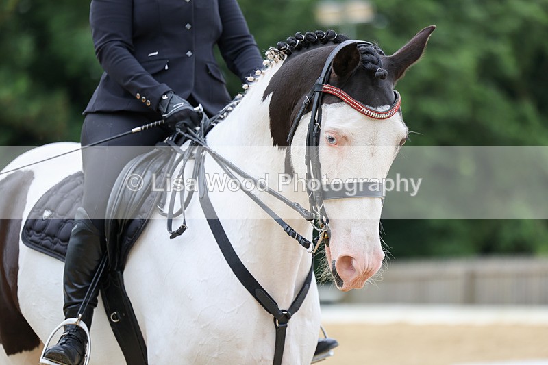 3E7A0986 - Class 7: Elementary 1 2024