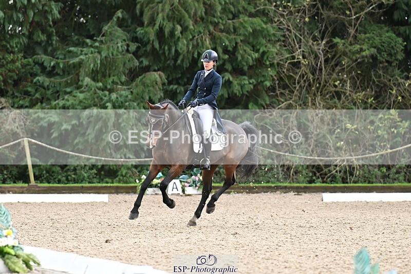 251023A-104622-01540 - B-131-Gemma.Gurvidi