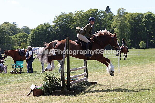 IMG_4334 - Working Hunter