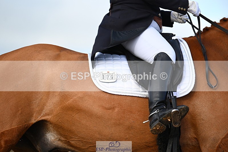 240218A-113339-06401 - 175-Jane.Morris-Silverstar.Z