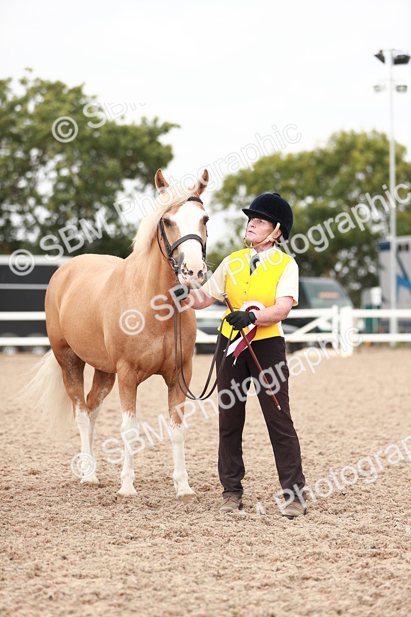 SBM_12563 - Class 207 IH M&M