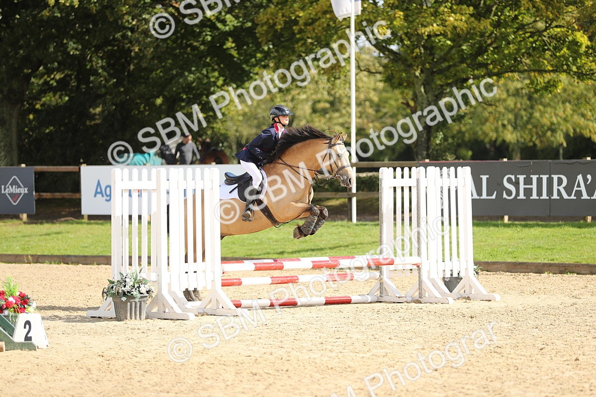 SBM_40250 - J21 - Junior Horse 60cm Championship