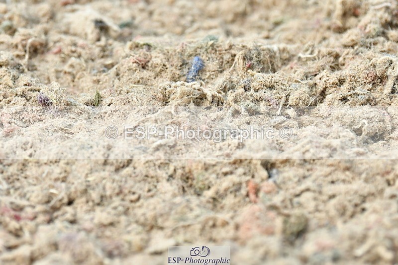 230701A-145157-06824 - Cls 11 Medium 73