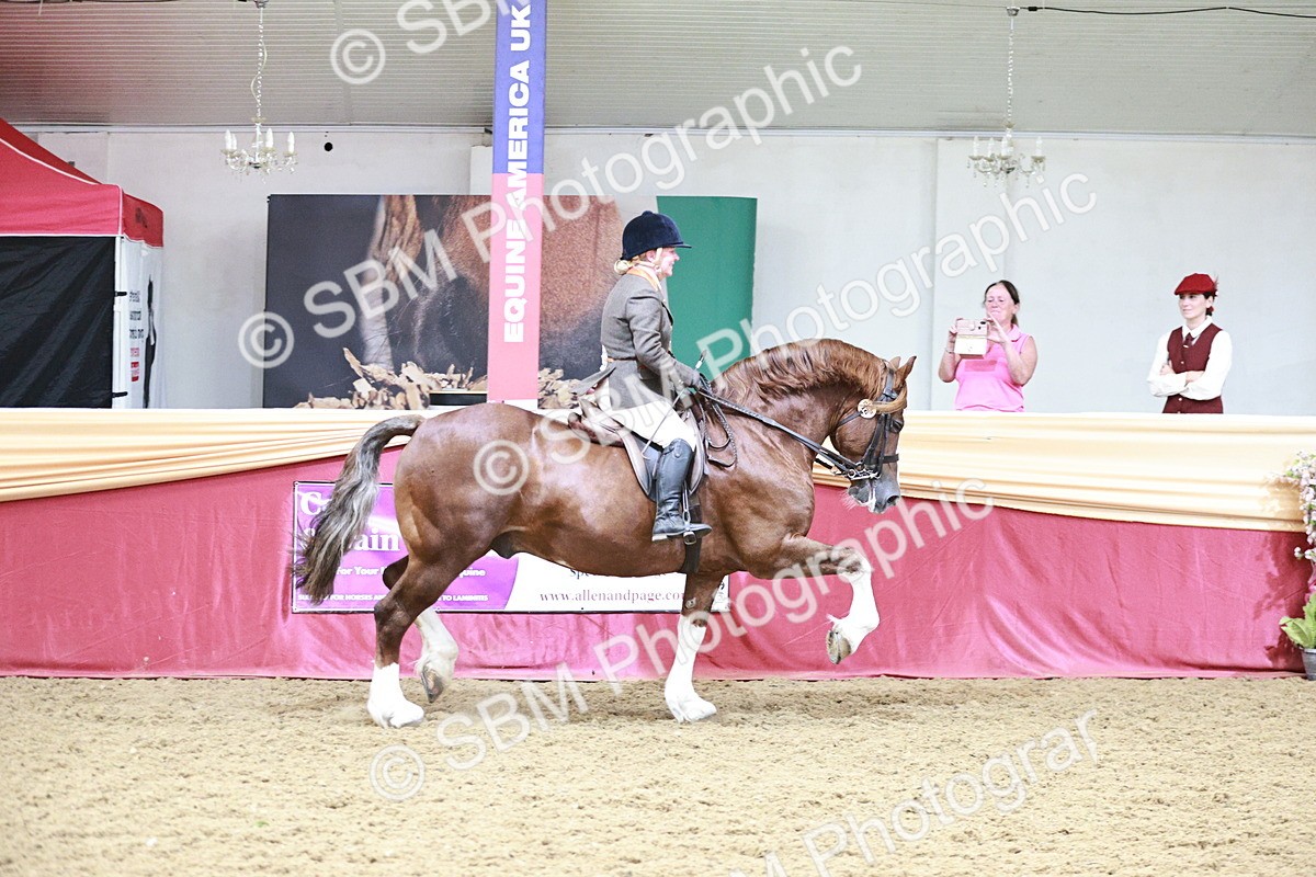 SBM_09158 - Class 12R - Regional Ridden Pre-Vet