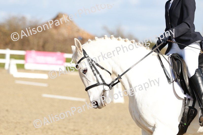 20260314-4365 - DR4 - Prelim 2