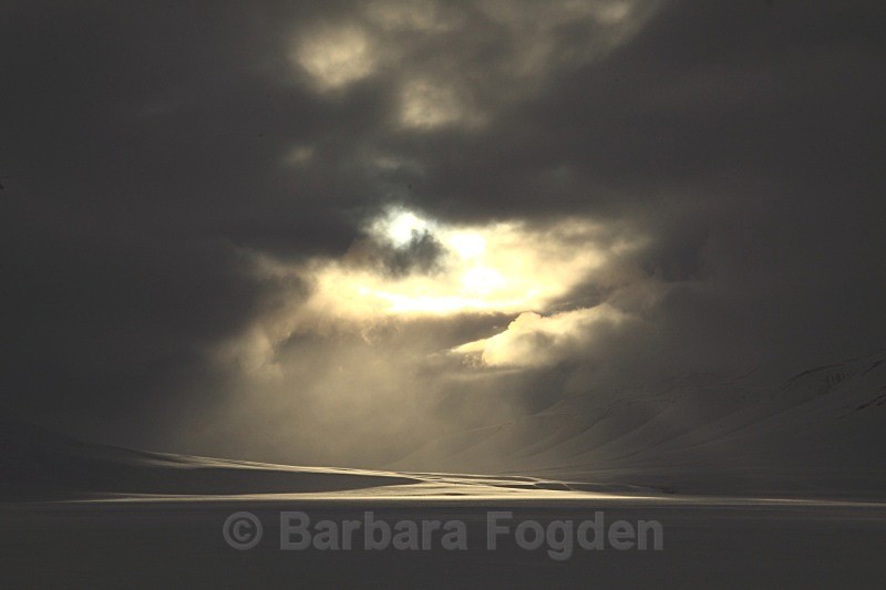 Sassendalen 5856 - Winter in the daylight