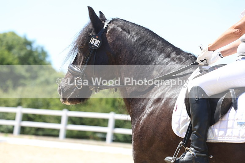 3E7A1039 - Class 3: Unaffiliated Prelim 3 2024 Section A