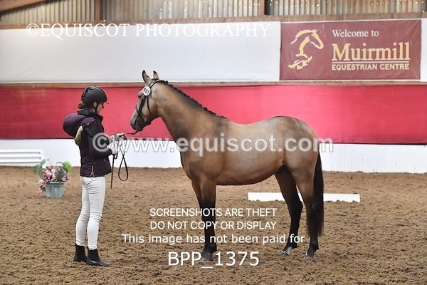 BPP_1375 - MORNING 9AM - 12PM