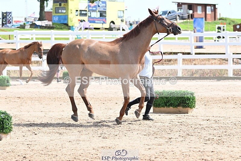 240717A-145951-02408 - Trot Up 2pm to 3pm - This folder is not in time order