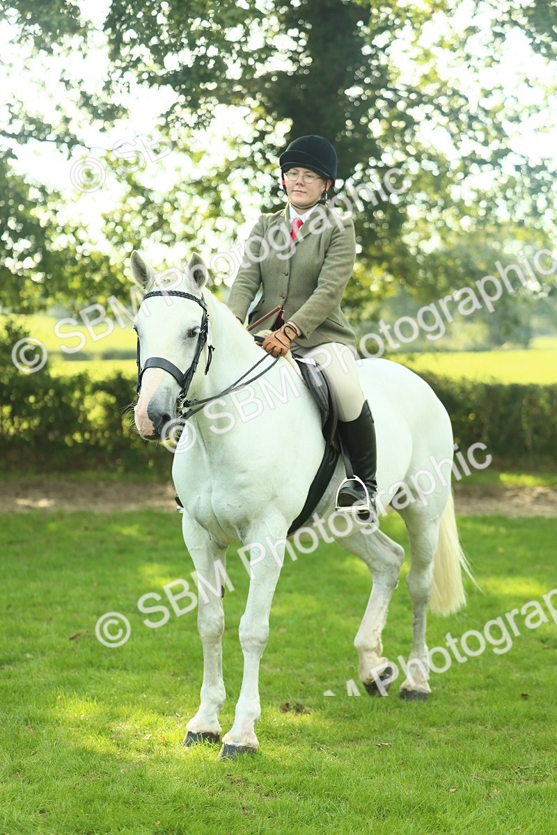 SBM_52175 - S33 - Working Hunter & Working Show Horse
