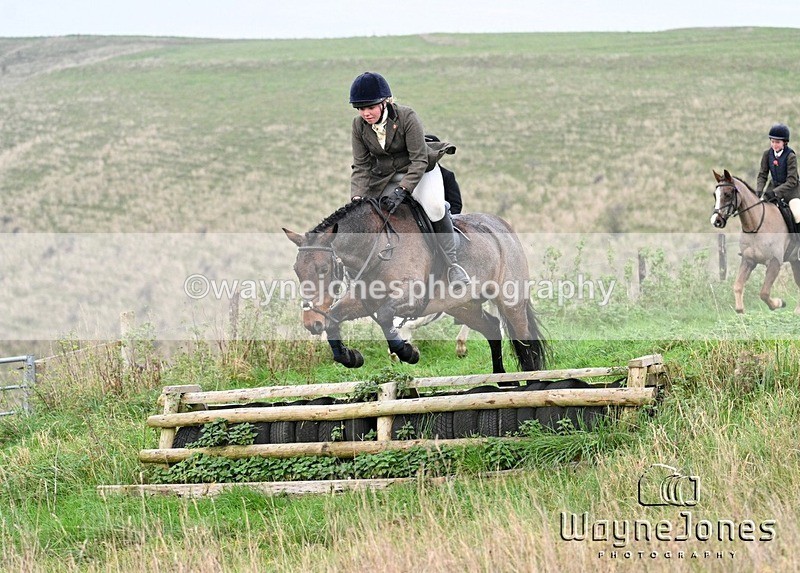 WJ7_0042 - Edited examples