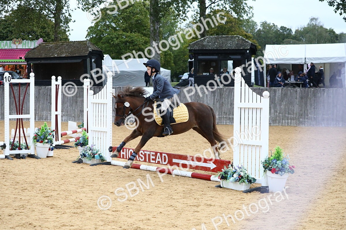 SBM_68421 - J3b - Mini Tour Junior Pony 40cm Championship