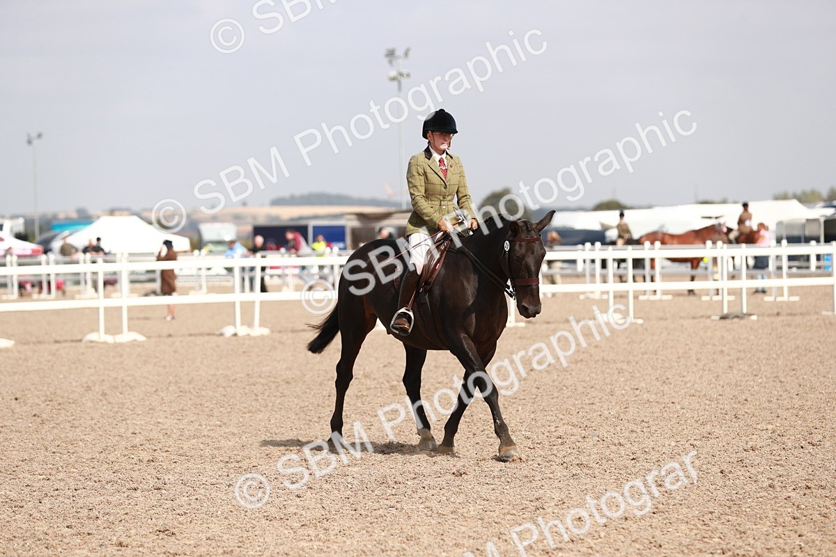 SBM_14897 - Class 212 Ridden Hunter - Small