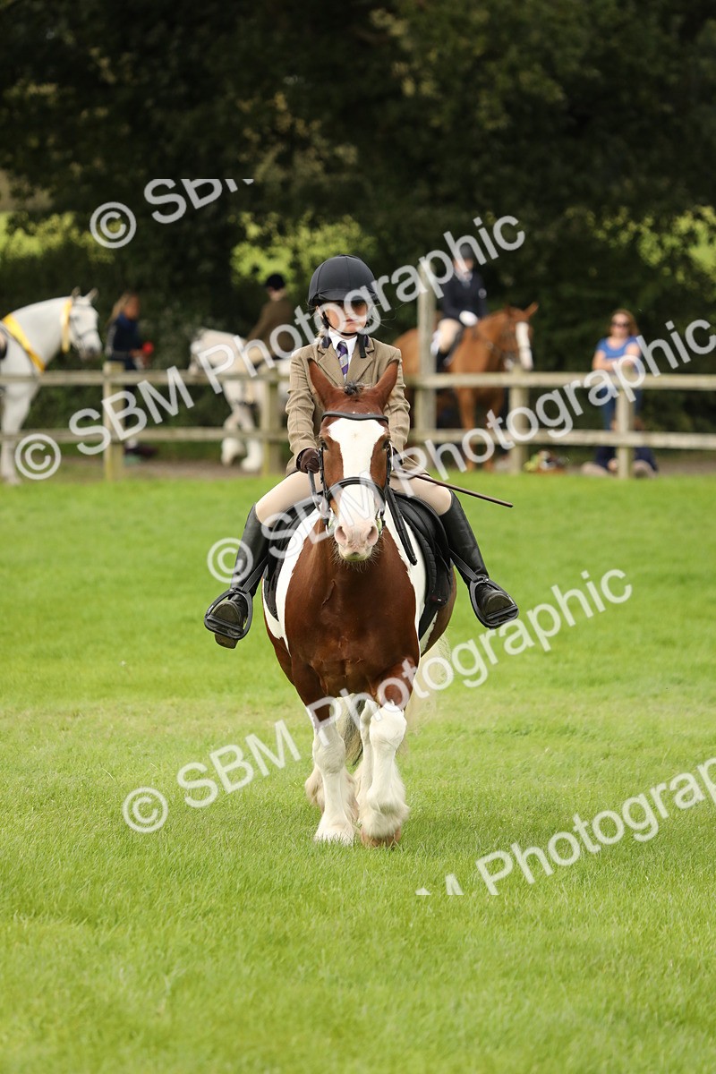 SBM_71708 - S41 - Ridden Equitation (Best Rider)