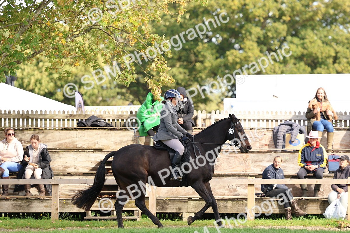 SBM_47821 - S28 - Veteran Ridden