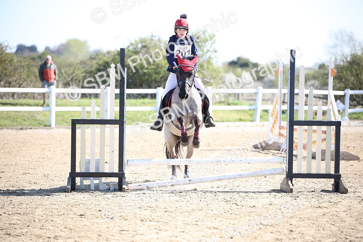 SBM_000575 - Class 2 - 50cm