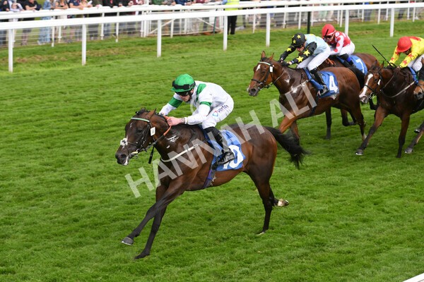 yr22052022r4-20 - Race 4: 5:05pm Sky Bet Sunday Mile