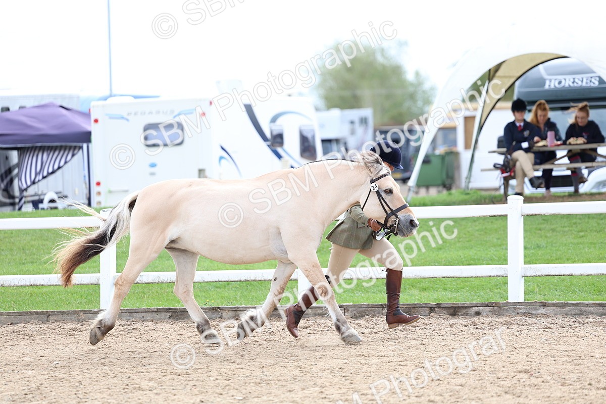 SBM_03913 - Class 25 - IH Foreign Breeds - Pure Bred
