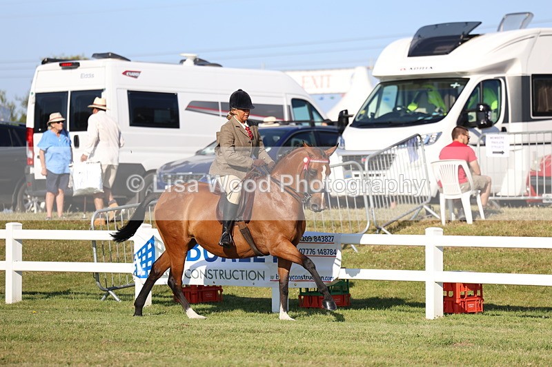 3E7A5044 - Class 1: Rising Star Small Hack/Riding Horses