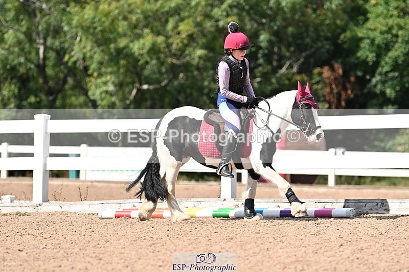 250821B-150135-00903 - Group D - Thomasina