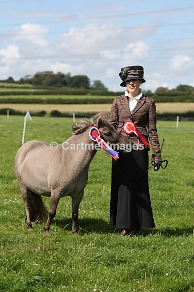 MBA_5872 - Morecambe Bay Riding Club August 2011 - In Hand