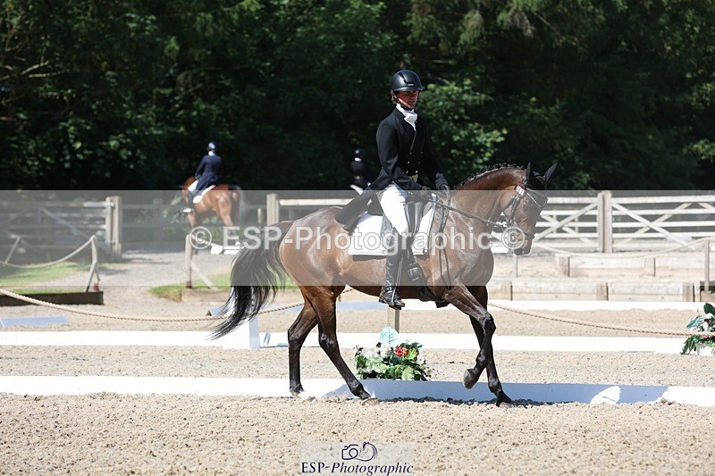 230526-102756-05262 - 361-FINCH_FANCY-Ben_Lee_Liles-WEDTrotUp+DR