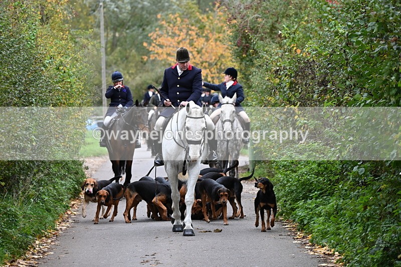 WJ6_8344 - Walk Home..