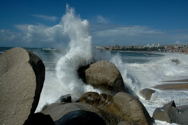 Cloud Wave - Seascapes