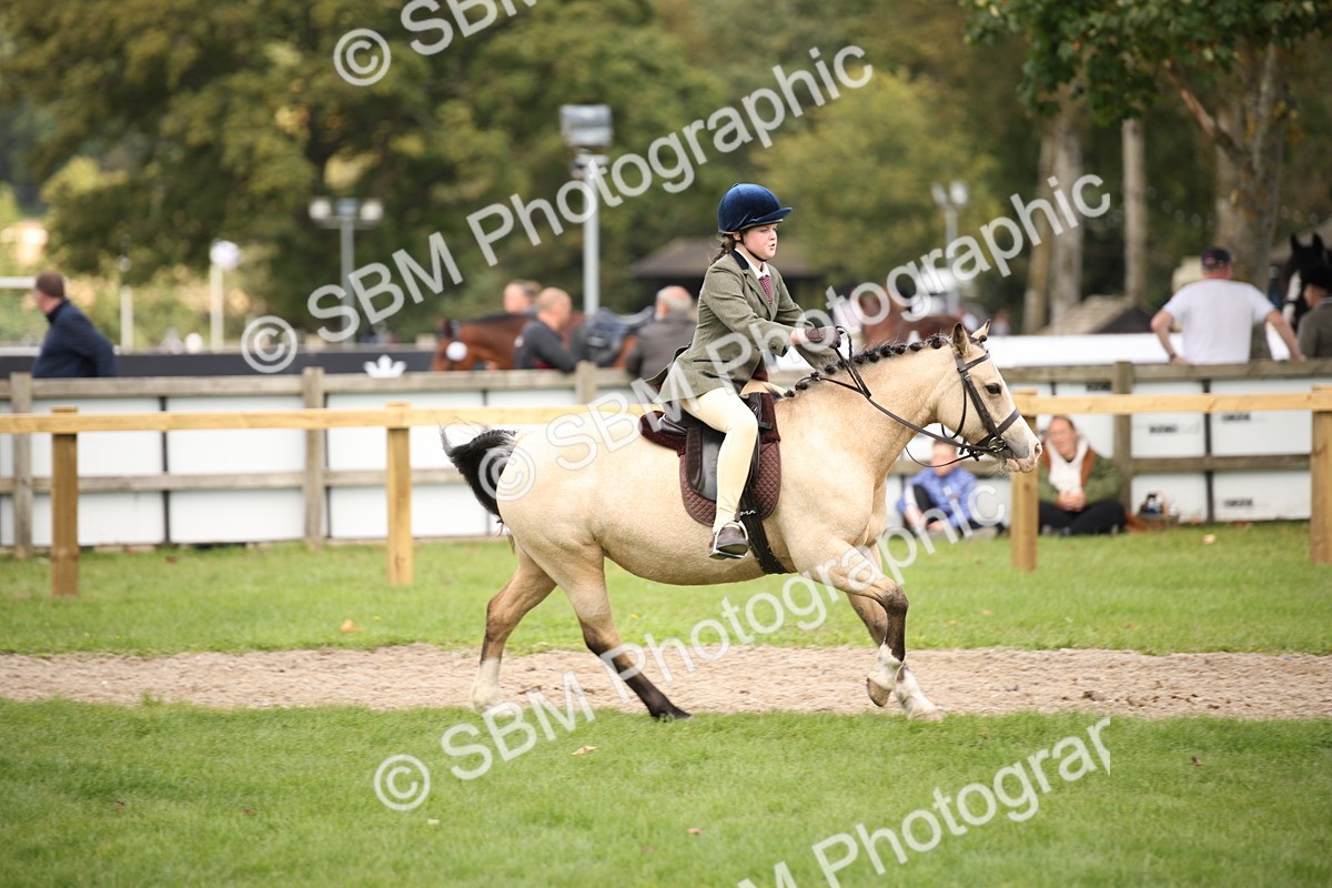 SBM_42302 - S13 - Pony Club Pony