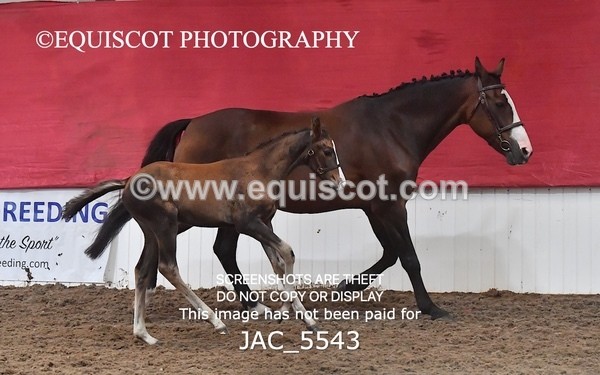 JAC_5543 - 13 Zi Real McCoy