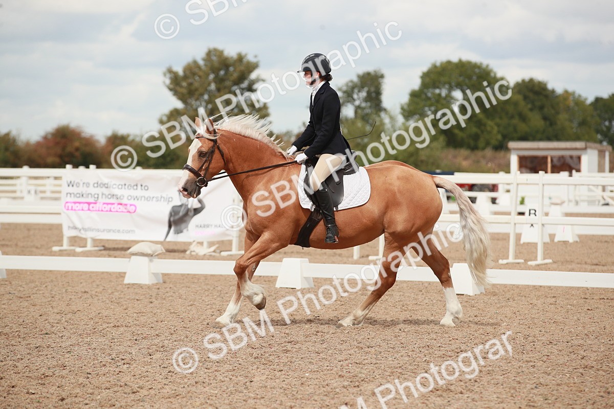 SBM_05902 - Class 32 - Novice 1