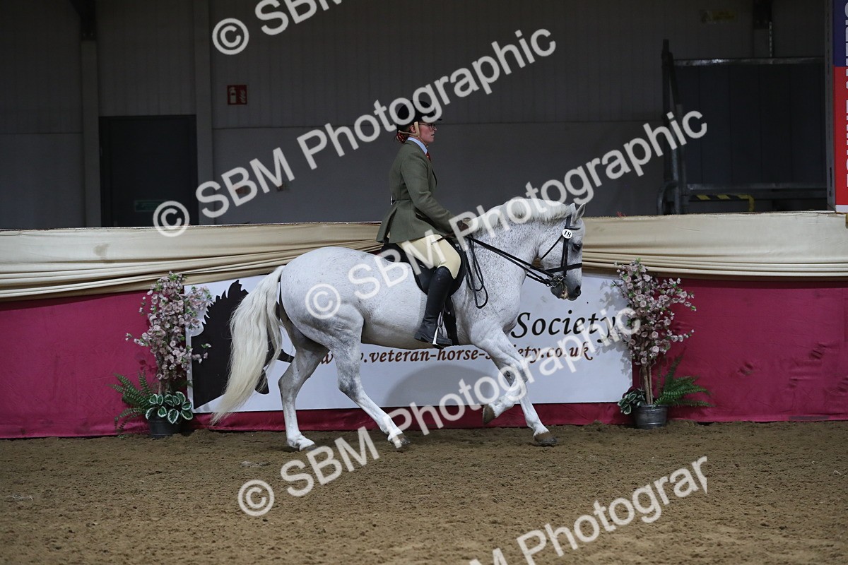 SBM_10398 - Class 102 Equitation (best rider) Adult