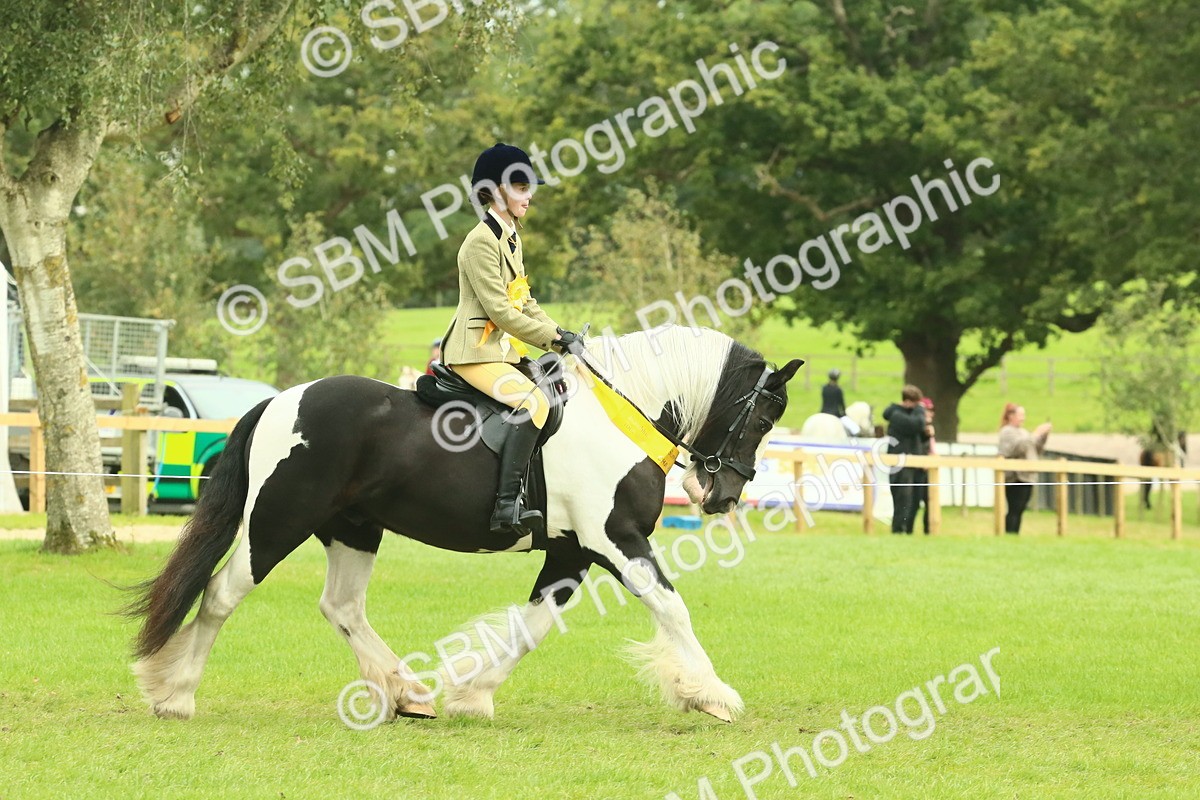 SBM_75002 - Ridden Pony Supreme Championship