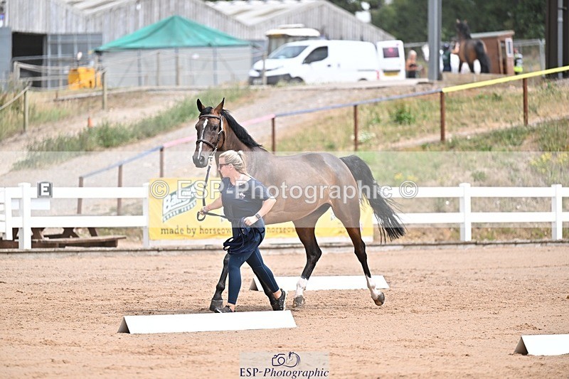 250716-132308-00472 - Trot Up 12.30 to 1.30
