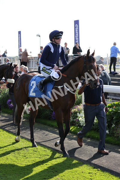 yr08102021r1-6 - Race 1 2.05pm Parsonage Hotel and Cloisters Spa Nursery Handicap