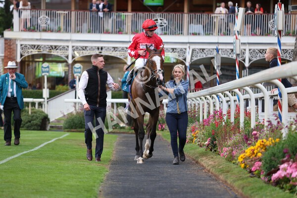 yr22072022r6-27 - Race 6 7.50pm Gallop Racing Stakes