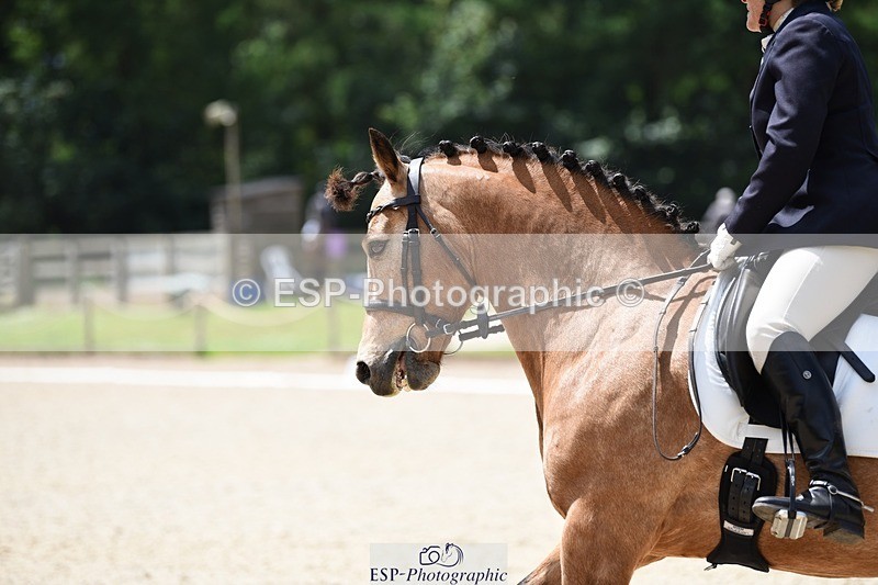 240605-124048-00943 - Cls 4 Novice 37 SQ