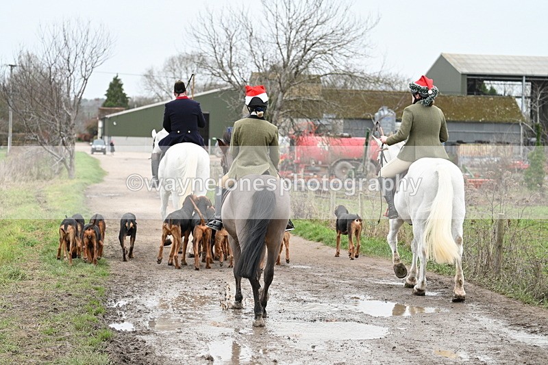 WJ7_1252 - Walk Home