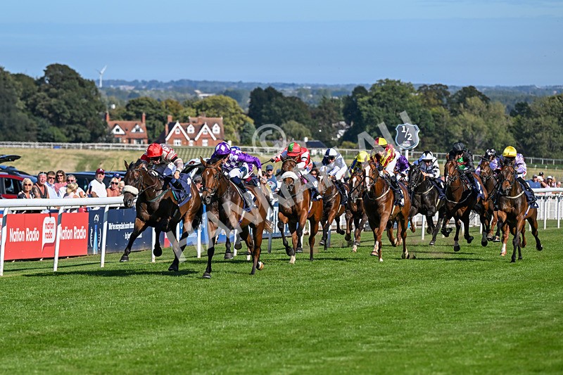 220926-Race 3-Call Me Tomorrow-3594 - Race 3 2.40pm Christmas Parties R Us Restricted Novice Stakes