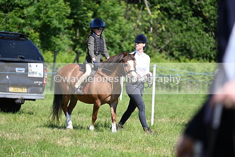 WJ7_0713 - Class 8 First Rally Pony