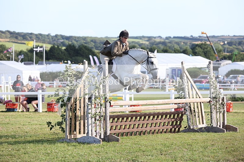 JPP_3381 - Class 22: Working Hunter 90cm