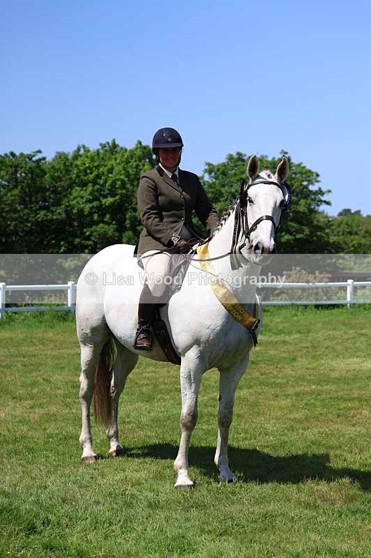 3E7A8130 - Working Hunter Championship