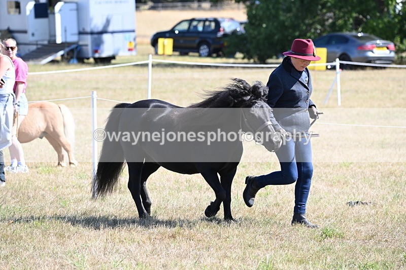 WJ6_4512 - Class 17 Mountain & Moorland