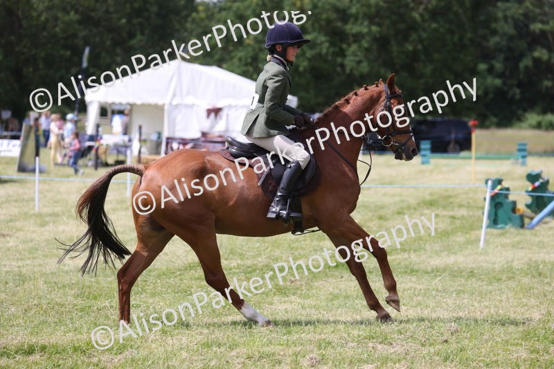 20260614-1874 - Class 21 - Novice Working Hunter Pony