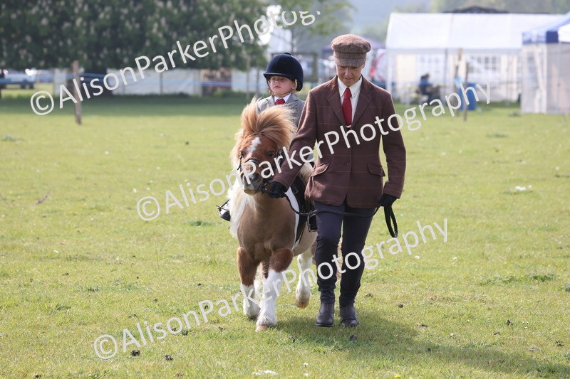 20260426-0322 - Class 30 - Tiny Tots Lead Rein