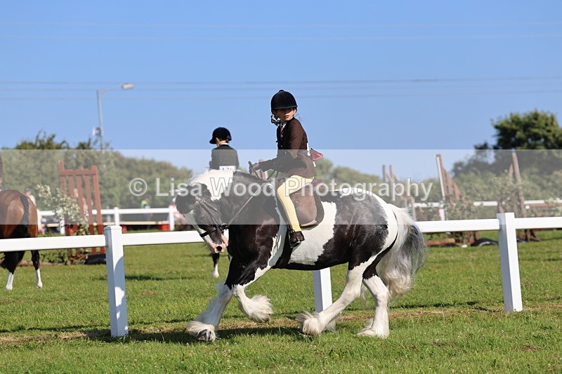 IMG_1525 - Class 30: Ridden Native/Trad Coloured Pony