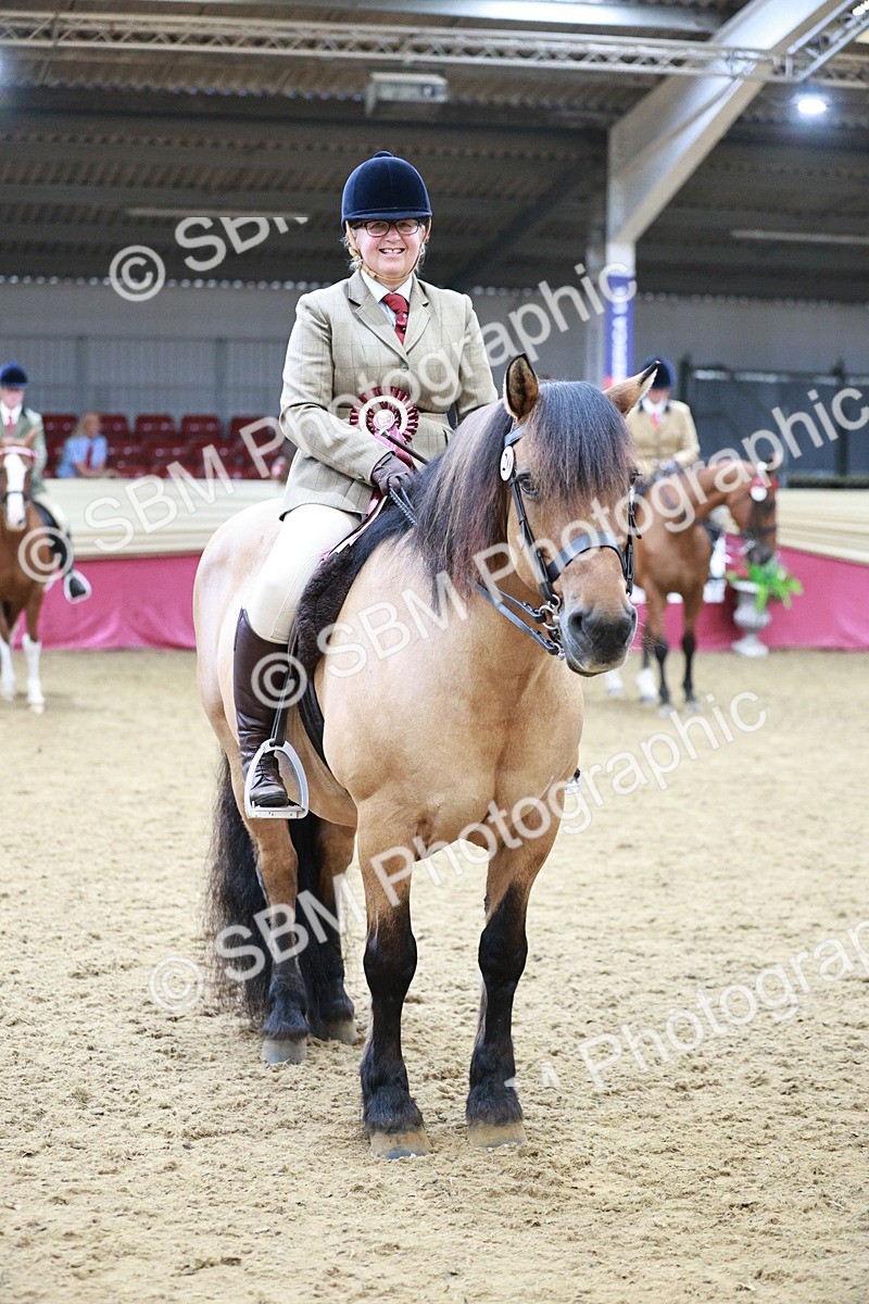SBM_08368 - Class 11R - Regional Ridden Veteran
