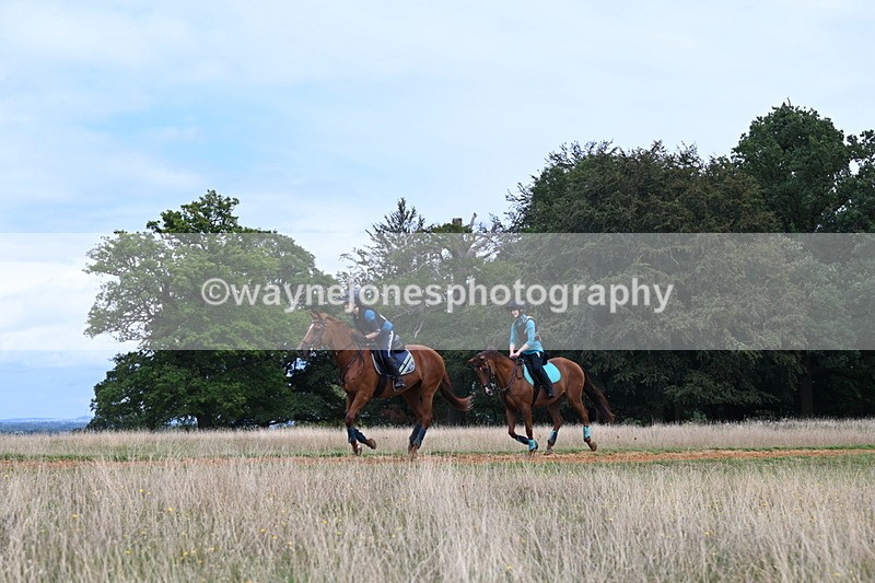 DSC_7732 - Time at Statue 13:16 to 13:52